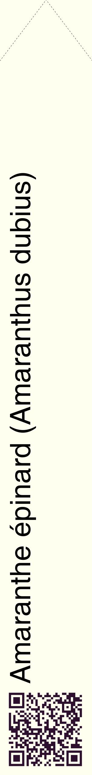 Étiquette de : Amaranthus dubius - format c - style noire19_simplehel avec qrcode et comestibilité