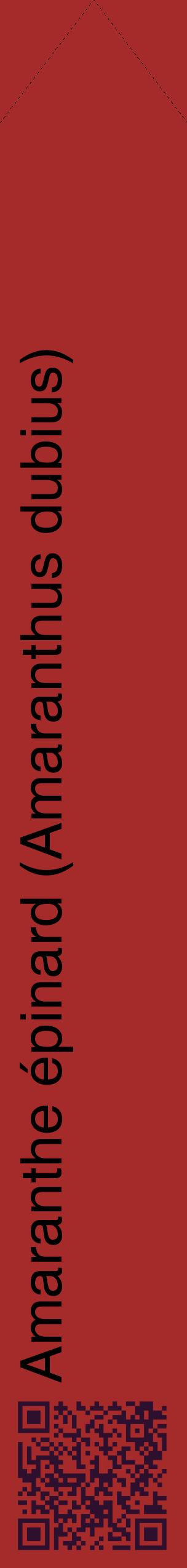 Étiquette de : Amaranthus dubius - format c - style noire33_simplehel avec qrcode et comestibilité