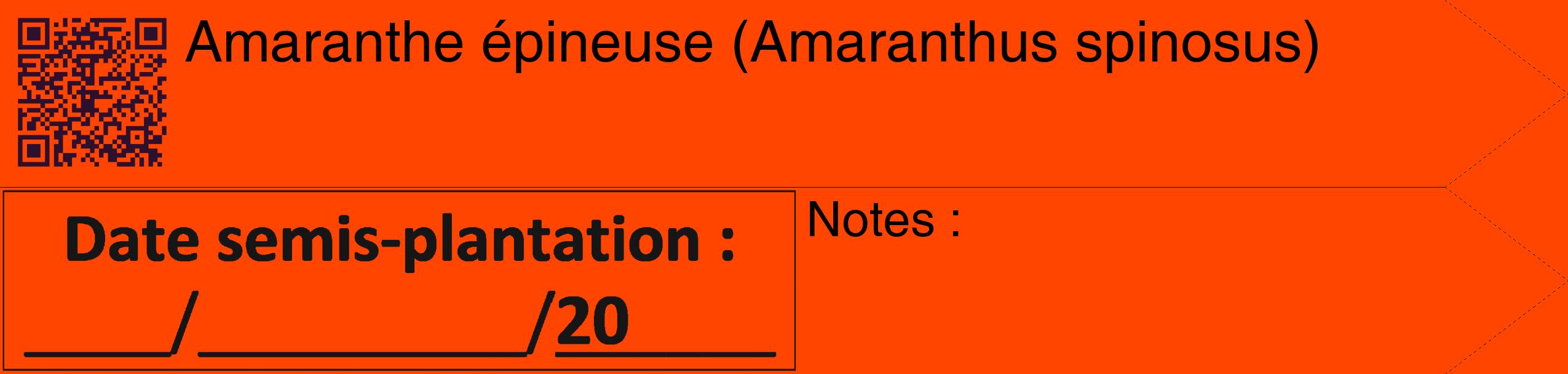 Étiquette de : Amaranthus spinosus - format c - style noire26_simple_simplehel avec qrcode et comestibilité
