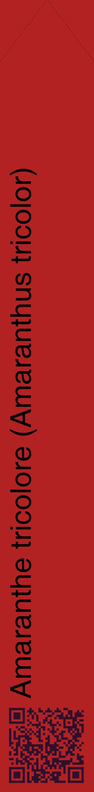 Étiquette de : Amaranthus tricolor - format c - style noire28_simplehel avec qrcode et comestibilité
