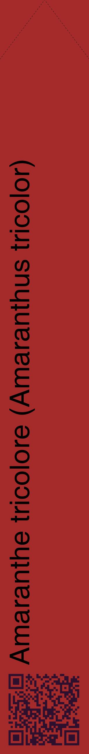 Étiquette de : Amaranthus tricolor - format c - style noire33_simplehel avec qrcode et comestibilité