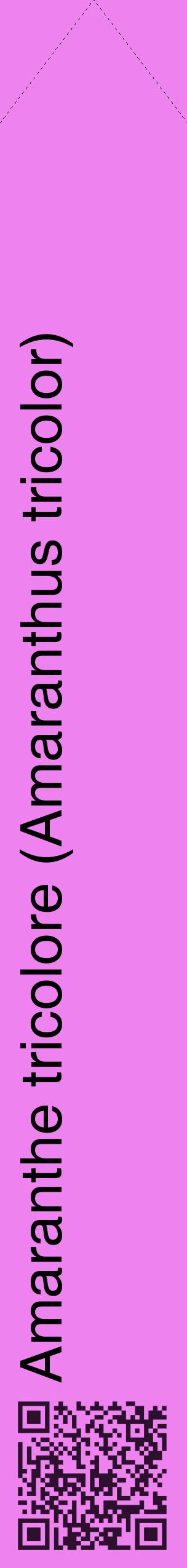 Étiquette de : Amaranthus tricolor - format c - style noire53_simplehel avec qrcode et comestibilité