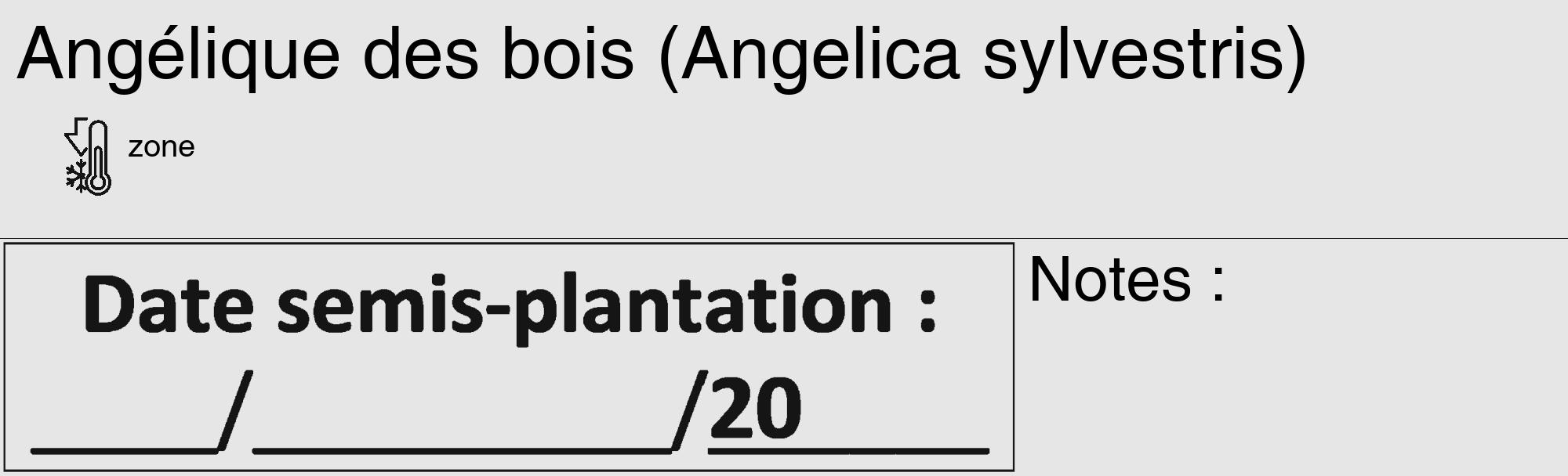 Étiquette de : Angelica sylvestris - format c - style noire18_basique_basiquehel avec comestibilité