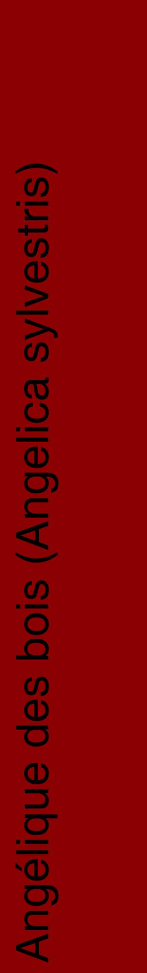 Étiquette de : Angelica sylvestris - format c - style noire34_basiquehel avec comestibilité