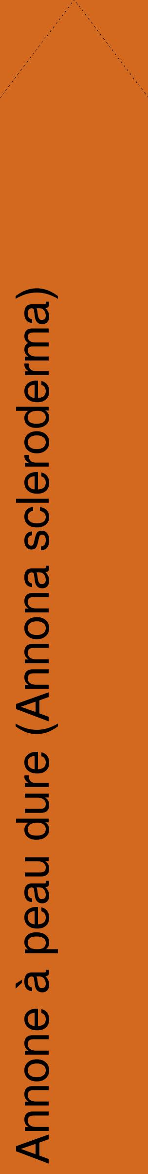 Étiquette de : Annona scleroderma - format c - style noire31_simplehel avec comestibilité