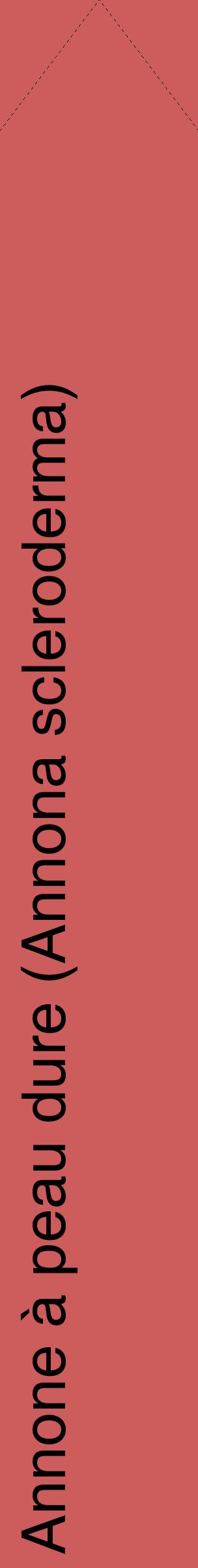 Étiquette de : Annona scleroderma - format c - style noire35_simplehel avec comestibilité