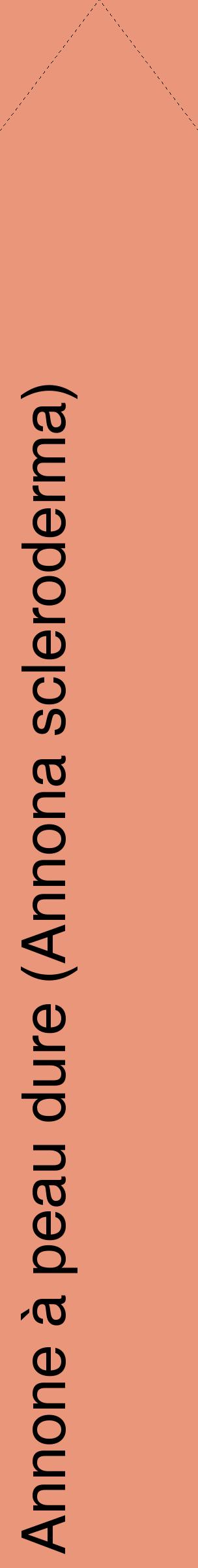 Étiquette de : Annona scleroderma - format c - style noire37_simplehel avec comestibilité