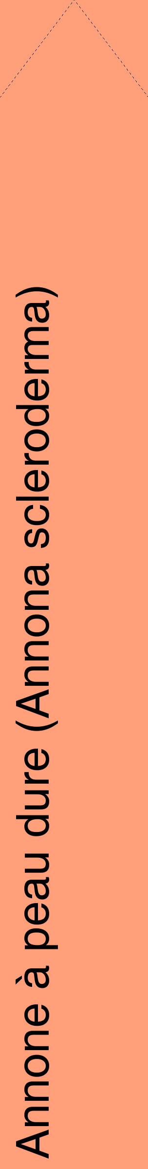 Étiquette de : Annona scleroderma - format c - style noire39_simplehel avec comestibilité
