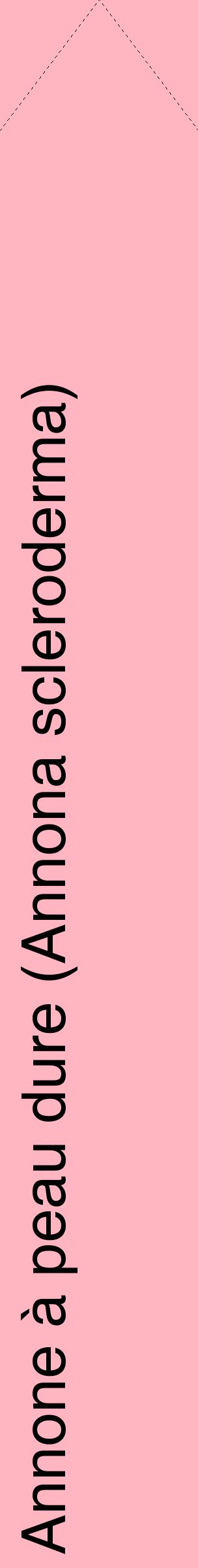 Étiquette de : Annona scleroderma - format c - style noire41_simplehel avec comestibilité