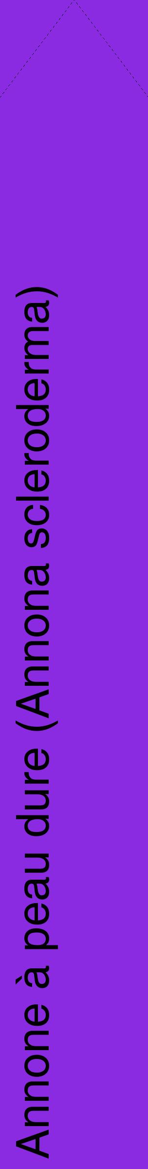 Étiquette de : Annona scleroderma - format c - style noire49_simplehel avec comestibilité