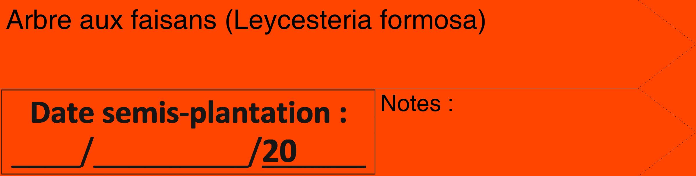 Étiquette de : Leycesteria formosa - format c - style noire26_simple_simplehel avec comestibilité