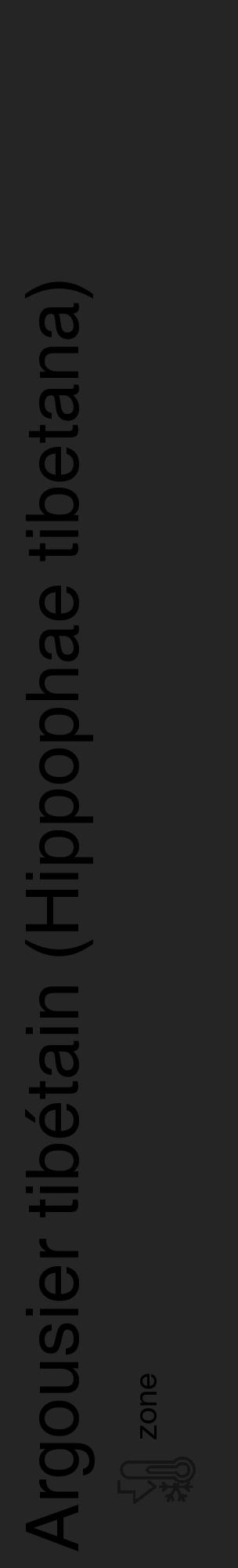 Étiquette de : Hippophae tibetana - format c - style noire47_basique_basiquehel avec comestibilité - position verticale