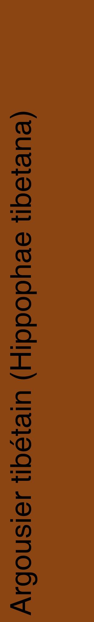 Étiquette de : Hippophae tibetana - format c - style noire30_basiquehel avec comestibilité