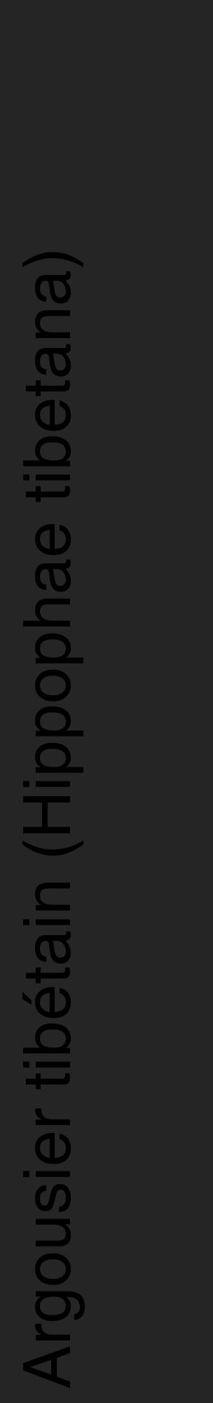 Étiquette de : Hippophae tibetana - format c - style noire47_basique_basiquehel avec comestibilité - position verticale