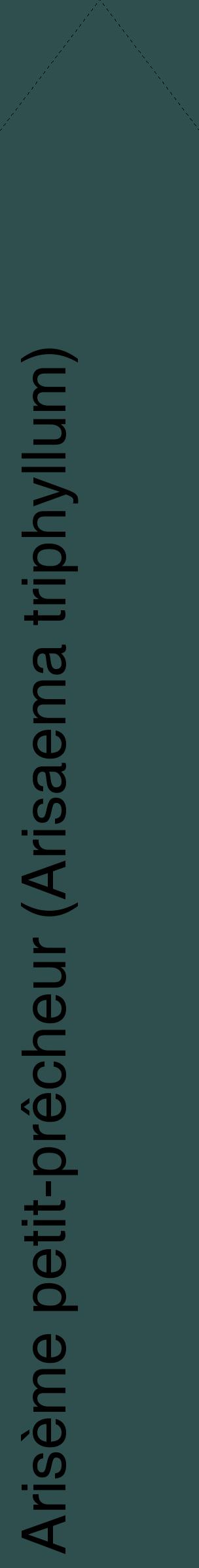 Étiquette de : Arisaema triphyllum - format c - style noire58_simplehel avec comestibilité