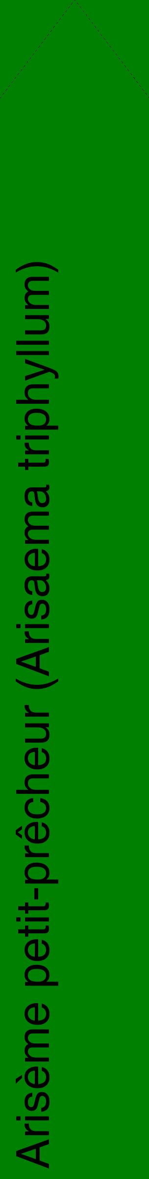 Étiquette de : Arisaema triphyllum - format c - style noire9_simplehel avec comestibilité