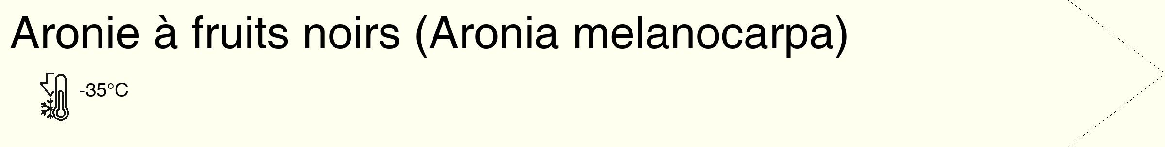 Étiquette de : Aronia melanocarpa - format c - style noire19_simple_simplehel avec comestibilité