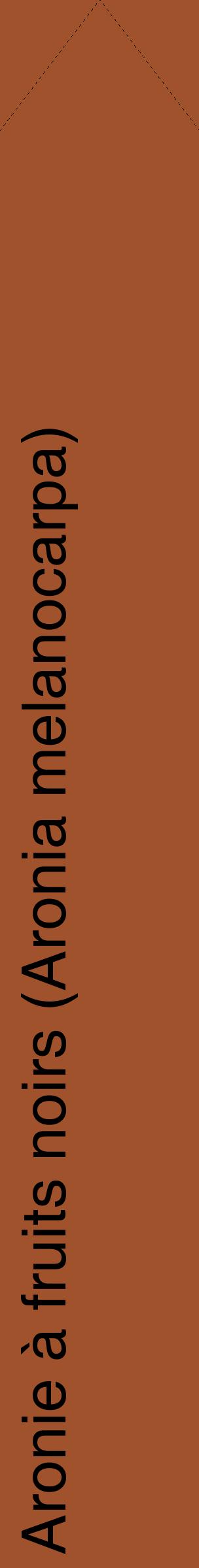 Étiquette de : Aronia melanocarpa - format c - style noire32_simplehel avec comestibilité