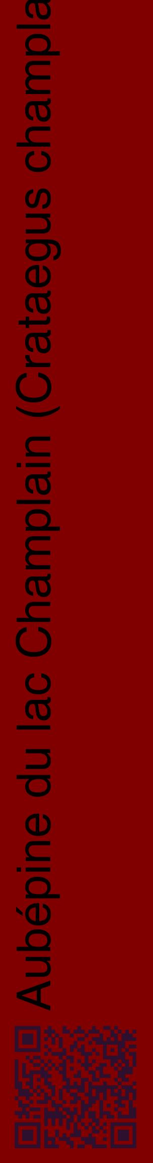 Étiquette de : Crataegus champlainensis - format c - style noire29_basiquehel avec qrcode et comestibilité