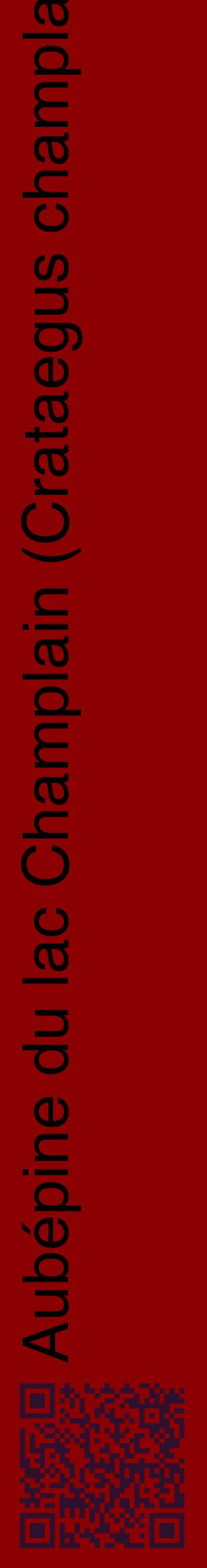 Étiquette de : Crataegus champlainensis - format c - style noire34_basiquehel avec qrcode et comestibilité