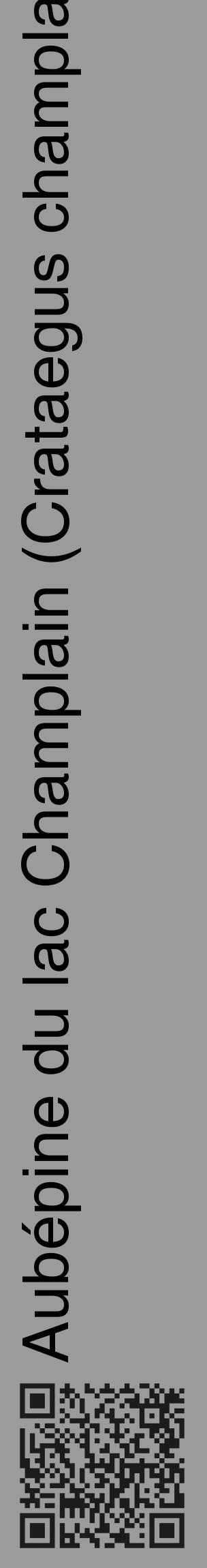Étiquette de : Crataegus champlainensis - format c - style noire52_basique_basiquehel avec qrcode et comestibilité - position verticale