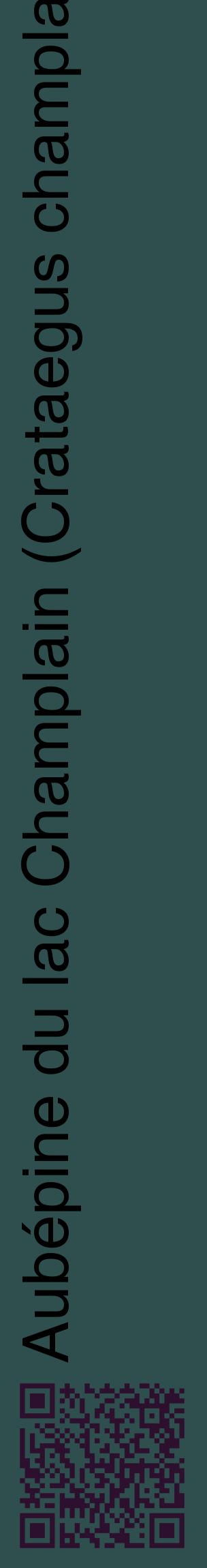 Étiquette de : Crataegus champlainensis - format c - style noire58_basiquehel avec qrcode et comestibilité