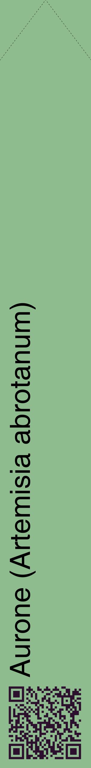 Étiquette de : Artemisia abrotanum - format c - style noire13_simplehel avec qrcode et comestibilité