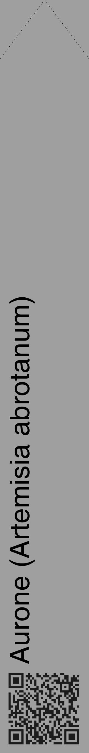 Étiquette de : Artemisia abrotanum - format c - style noire24_simple_simplehel avec qrcode et comestibilité - position verticale