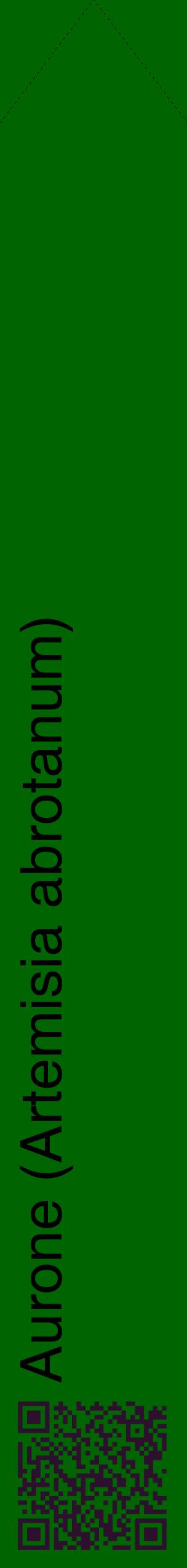 Étiquette de : Artemisia abrotanum - format c - style noire8_simplehel avec qrcode et comestibilité