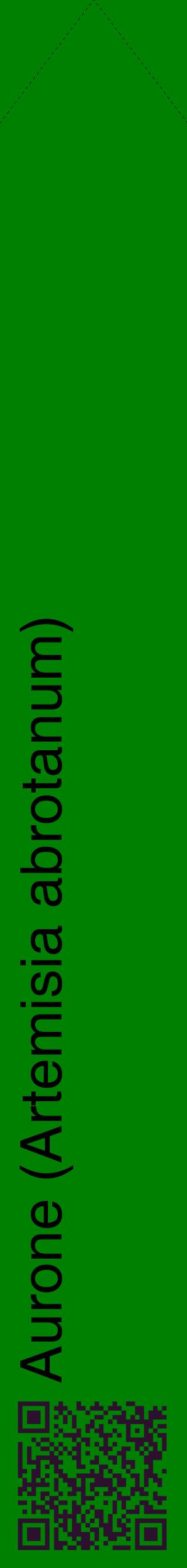 Étiquette de : Artemisia abrotanum - format c - style noire9_simplehel avec qrcode et comestibilité
