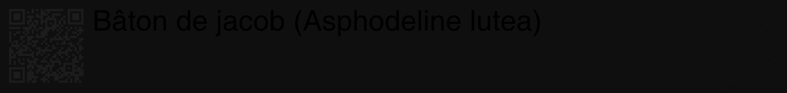 Étiquette de : Asphodeline lutea - format c - style noire7_simple_simplehel avec qrcode et comestibilité