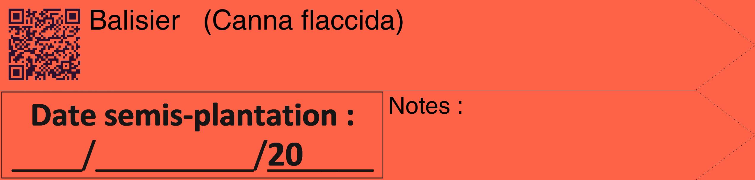 Étiquette de : Canna flaccida - format c - style noire25_simple_simplehel avec qrcode et comestibilité
