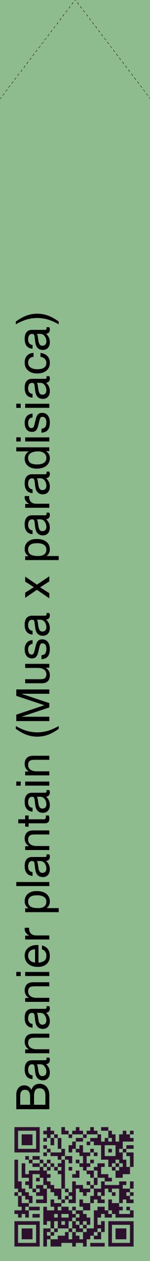 Étiquette de : Musa x paradisiaca - format c - style noire13_simplehel avec qrcode et comestibilité