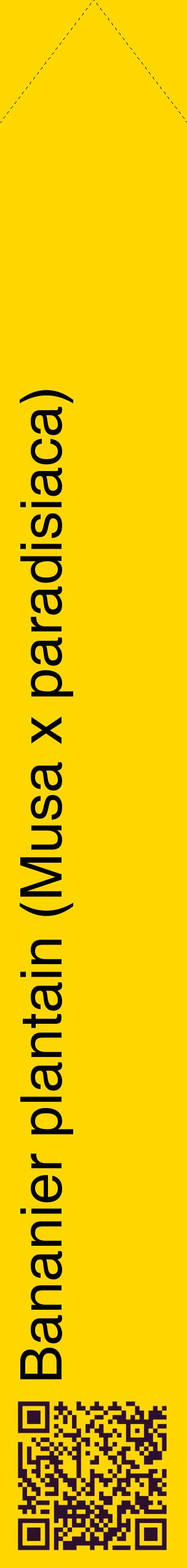 Étiquette de : Musa x paradisiaca - format c - style noire21_simplehel avec qrcode et comestibilité