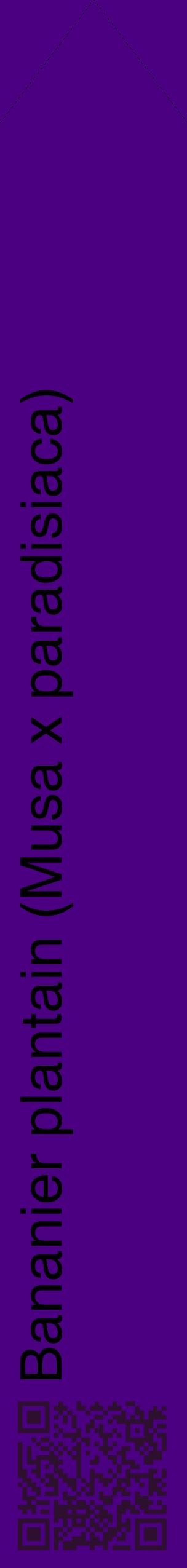 Étiquette de : Musa x paradisiaca - format c - style noire47_simplehel avec qrcode et comestibilité