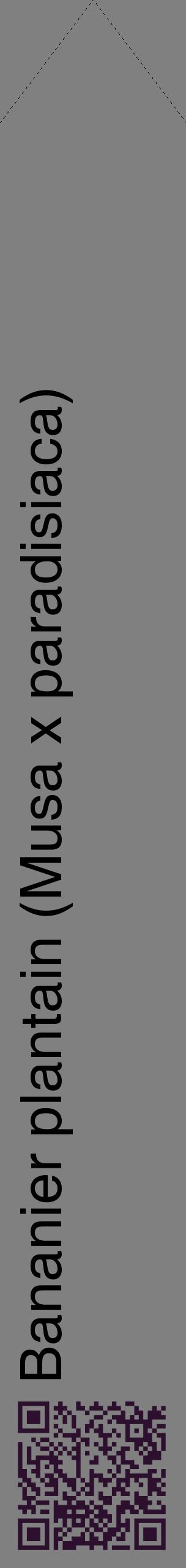Étiquette de : Musa x paradisiaca - format c - style noire57_simplehel avec qrcode et comestibilité