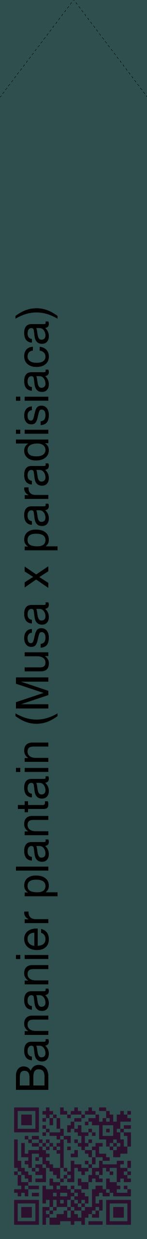 Étiquette de : Musa x paradisiaca - format c - style noire58_simplehel avec qrcode et comestibilité