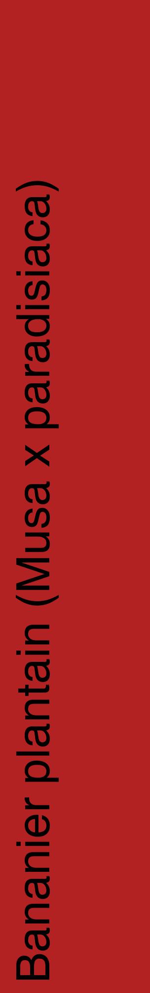 Étiquette de : Musa x paradisiaca - format c - style noire28_basiquehel avec comestibilité