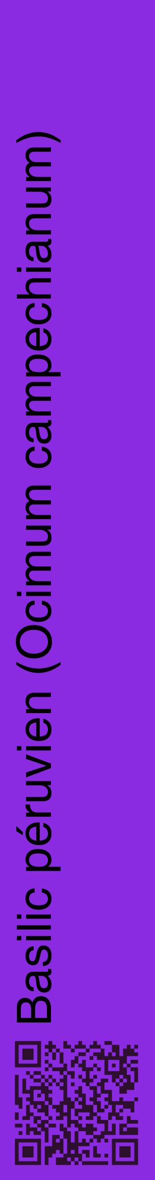Étiquette de : Ocimum campechianum - format c - style noire49_basiquehel avec qrcode et comestibilité