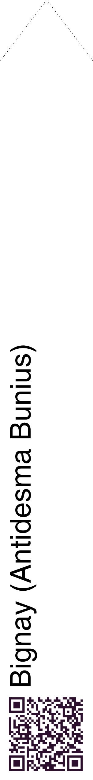 Étiquette de : Antidesma Bunius - format c - style noire60_simplehel avec qrcode et comestibilité
