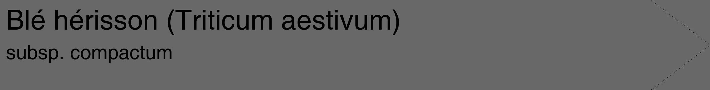 Étiquette de : Triticum aestivum subsp. compactum - format c - style noire6_simple_simplehel avec comestibilité