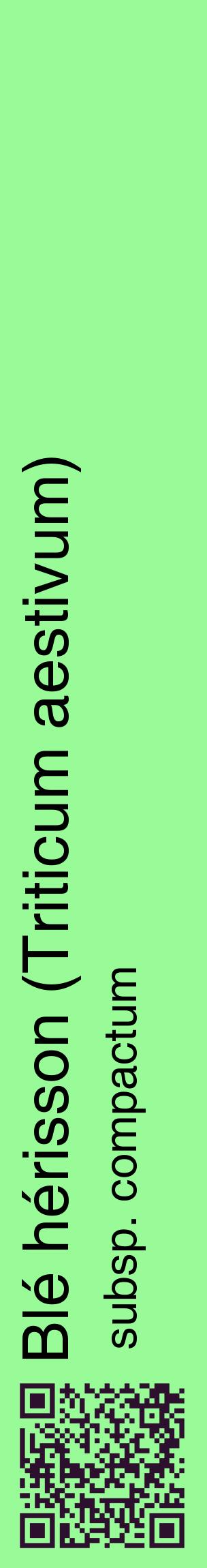 Étiquette de : Triticum aestivum subsp. compactum - format c - style noire14_basiquehel avec qrcode et comestibilité