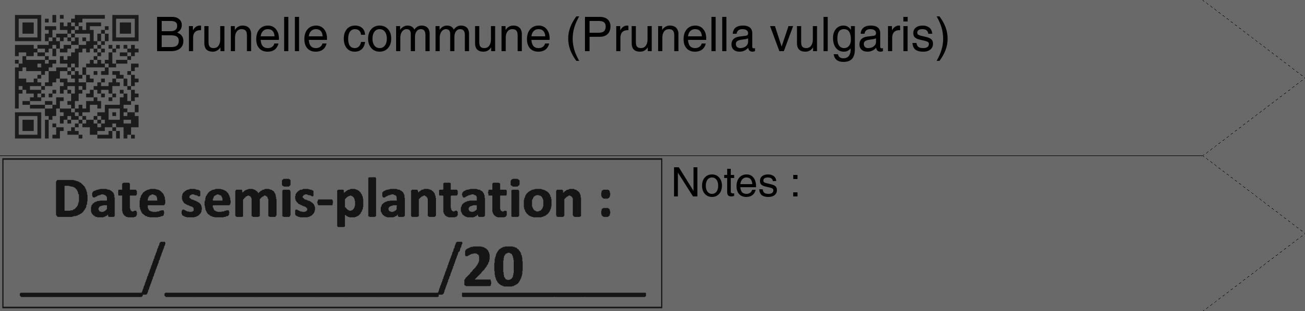 Étiquette de : Prunella vulgaris - format c - style noire51_simple_simplehel avec qrcode et comestibilité