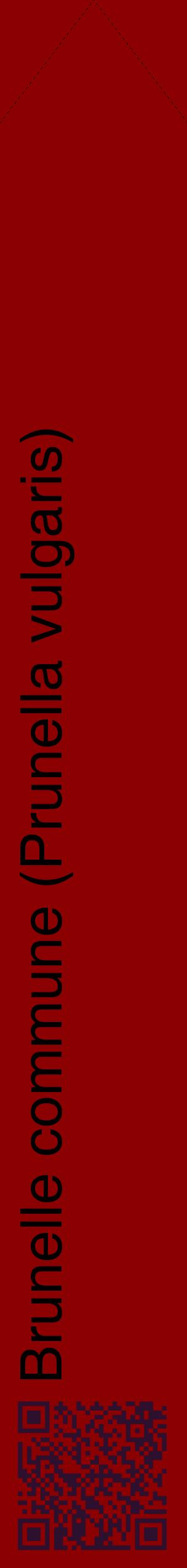 Étiquette de : Prunella vulgaris - format c - style noire34_simplehel avec qrcode et comestibilité