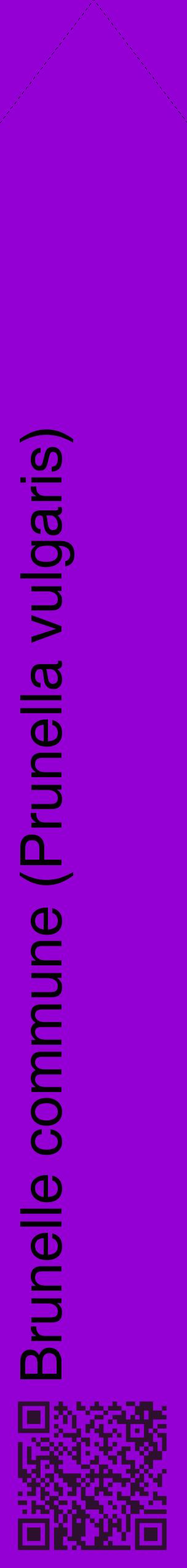 Étiquette de : Prunella vulgaris - format c - style noire48_simplehel avec qrcode et comestibilité