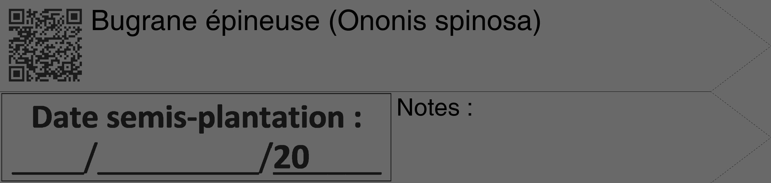Étiquette de : Ononis spinosa - format c - style noire51_simple_simplehel avec qrcode et comestibilité