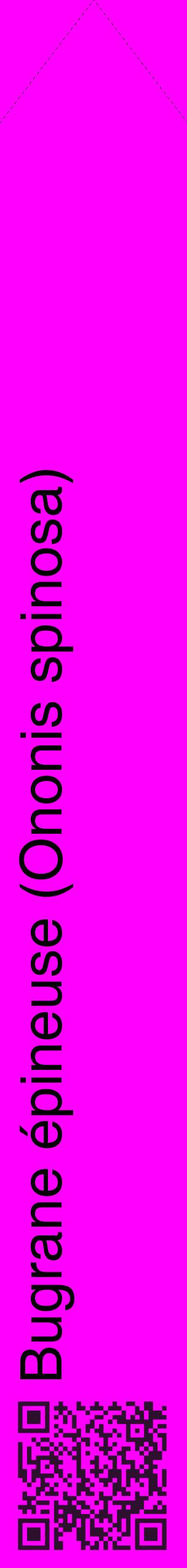 Étiquette de : Ononis spinosa - format c - style noire51_simplehel avec qrcode et comestibilité
