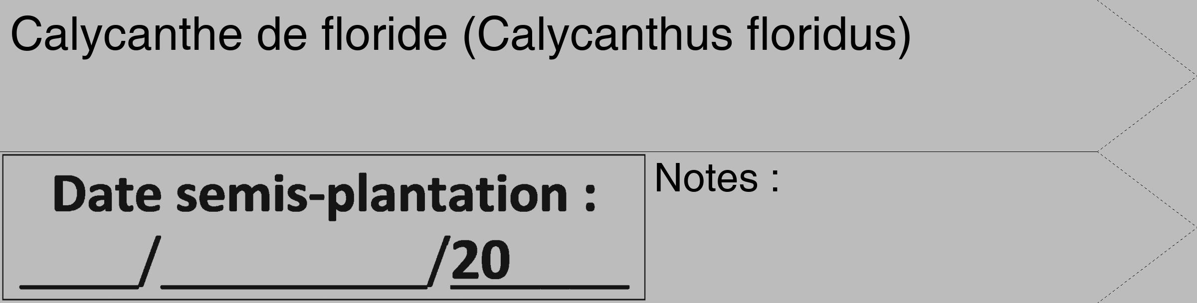 Étiquette de : Calycanthus floridus - format c - style noire1_simple_simplehel avec comestibilité