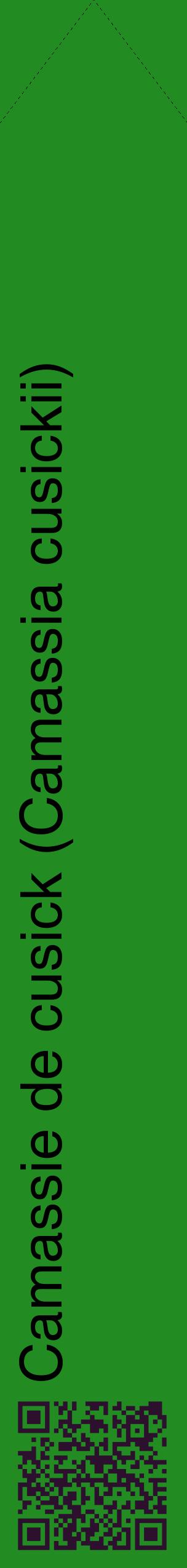Étiquette de : Camassia cusickii - format c - style noire10_simplehel avec qrcode et comestibilité