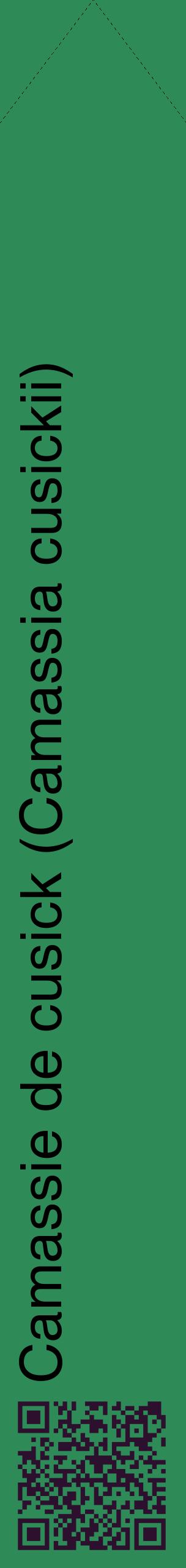 Étiquette de : Camassia cusickii - format c - style noire11_simplehel avec qrcode et comestibilité